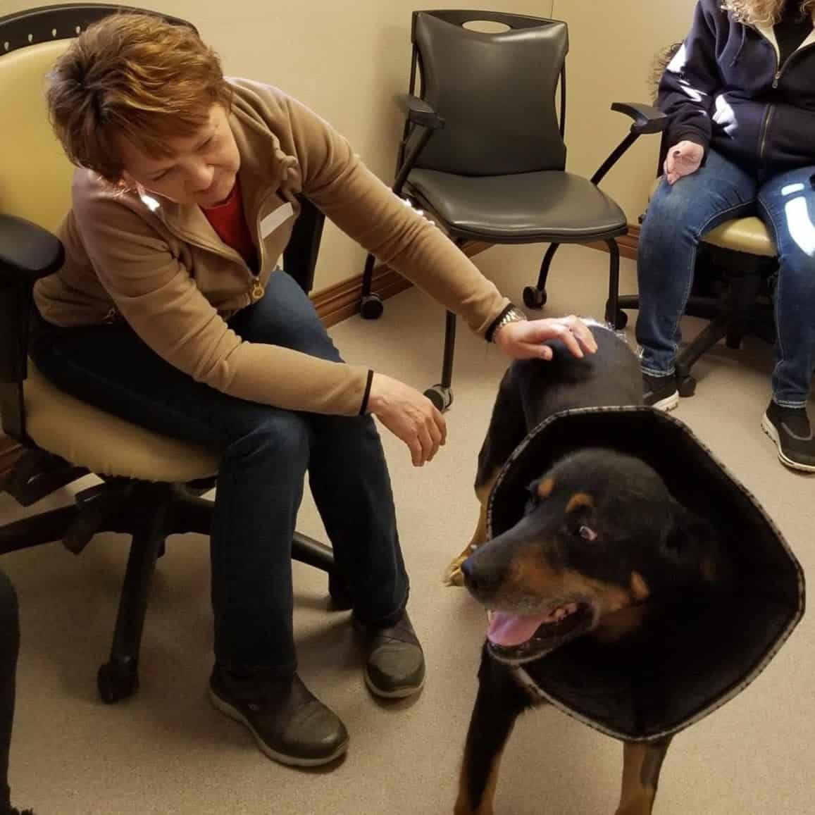 Reiki Training At The Central Alberta Humane Society in Red Deer - King The Dog